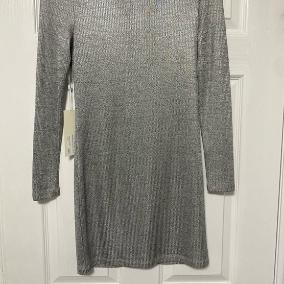 Ronny Kobo Silver Mini Dress - Picture 5 of 5